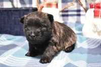 processed/108bccda-383c-4a33-a52a-cb61a97dfcad/listing/ce9eb4c2-c82b-4dcd-8756-874a8b6f8152/b4eb5cc3-3996-41ec-a29e-0dd664d6b23e