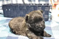 processed/108bccda-383c-4a33-a52a-cb61a97dfcad/listing/ce9eb4c2-c82b-4dcd-8756-874a8b6f8152/c530a8bb-a2fd-42ae-931c-0cd96f4da2da