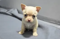 processed/108bccda-383c-4a33-a52a-cb61a97dfcad/listing/e51e8dd9-6668-44d6-8c50-04ca68427318/14e877ab-ea2d-4ba5-8a04-3e397c962ccf