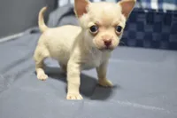 processed/108bccda-383c-4a33-a52a-cb61a97dfcad/listing/e51e8dd9-6668-44d6-8c50-04ca68427318/3182045c-12fe-44f8-9fcf-8d6a0b1a9db9