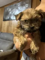 processed/10977322-71c8-4b6f-9a16-e4cea1211cb1/listing/8910f4d7-3a8c-49b3-b59e-0d35254b89af/48fb5d16-ca02-4a51-a97d-67622f910e3e