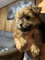 processed/10977322-71c8-4b6f-9a16-e4cea1211cb1/listing/8910f4d7-3a8c-49b3-b59e-0d35254b89af/e306fba7-613d-44b5-ba26-40fd7f51fffe