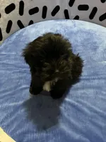 processed/10977322-71c8-4b6f-9a16-e4cea1211cb1/listing/bb590d65-06e7-4c92-9be5-db9fae0af365/0e9231e8-3e77-4f2c-87b2-2671eba1c81a