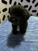 processed/10977322-71c8-4b6f-9a16-e4cea1211cb1/listing/bb590d65-06e7-4c92-9be5-db9fae0af365/6dcd3aba-e6c0-4813-9c82-0a2a99ba8e8e