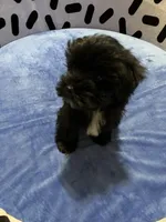 processed/10977322-71c8-4b6f-9a16-e4cea1211cb1/listing/bb590d65-06e7-4c92-9be5-db9fae0af365/9329aa27-fa5e-4e41-b7ab-6c7f2e22641e