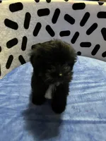 processed/10977322-71c8-4b6f-9a16-e4cea1211cb1/listing/bb590d65-06e7-4c92-9be5-db9fae0af365/bf082d0e-cd93-4ca6-b915-1bca726fffdd