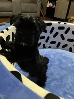 processed/10977322-71c8-4b6f-9a16-e4cea1211cb1/listing/e270bd36-74ae-4ea8-aa3b-8e8439b76302/ac7af609-6030-4b91-89de-1cc703faefd5