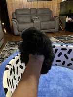 processed/10977322-71c8-4b6f-9a16-e4cea1211cb1/listing/e270bd36-74ae-4ea8-aa3b-8e8439b76302/c353dc1b-faab-4c23-9b84-573744c5aa0a