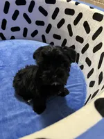 processed/10977322-71c8-4b6f-9a16-e4cea1211cb1/listing/e270bd36-74ae-4ea8-aa3b-8e8439b76302/da3eb3e6-6c0f-4176-8284-9eddc0ec5b8a