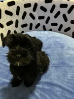 processed/10977322-71c8-4b6f-9a16-e4cea1211cb1/listing/e270bd36-74ae-4ea8-aa3b-8e8439b76302/f7fc1266-430d-4243-ad1f-16ed0549575a