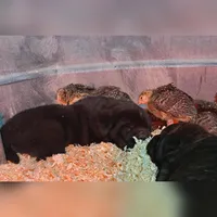 processed/10994448-6f7e-4269-a938-e72a06dbd6a7/facility/074996f2-9209-48f0-af1b-6d868171969e