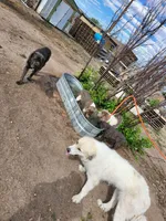 processed/10994448-6f7e-4269-a938-e72a06dbd6a7/facility/20923df6-9ecb-49f6-a25a-bff98c54b29d