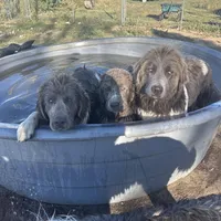 processed/10994448-6f7e-4269-a938-e72a06dbd6a7/facility/7a11234e-87c3-4943-a094-a7800e4a4450