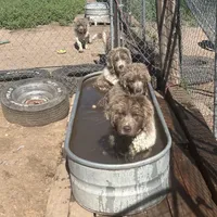 processed/10994448-6f7e-4269-a938-e72a06dbd6a7/facility/e78b2886-b74b-4c98-b6e3-bdbb21de80a3