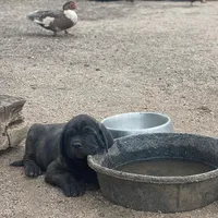 processed/10994448-6f7e-4269-a938-e72a06dbd6a7/facility/f4a9ab13-c792-487c-91f6-a2f947315b48