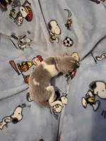 AKC Newfie Puppy - Purple – Female (Padme) , a female Newfoundland for sale in Cheyenne, WY – Photo 1 of 4