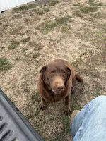 processed/10999695-5615-4ba8-b2cc-6e49c0f9e608/listing/190ce2a7-fdae-444c-b6b4-1bc78acced3f/35868d71-1854-43a2-a945-69a5d19d81a0