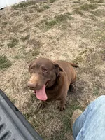 processed/10999695-5615-4ba8-b2cc-6e49c0f9e608/listing/190ce2a7-fdae-444c-b6b4-1bc78acced3f/636bd5f9-3ae6-489d-b1b8-fd0bac272c80