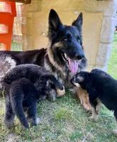 processed/109baeba-7d18-4b04-ac89-084f6afecf20/facility/0975df0c-f2ba-4bb7-af19-4ee9ab4f701c