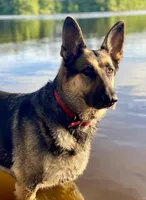 processed/109baeba-7d18-4b04-ac89-084f6afecf20/facility/0fe0223b-f4ed-432c-805e-675b5c5cbdc7