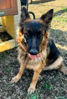 processed/109baeba-7d18-4b04-ac89-084f6afecf20/facility/4b696d0d-64b5-42f6-9196-efe4720280fc