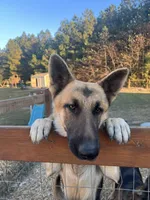 processed/109baeba-7d18-4b04-ac89-084f6afecf20/facility/555a5e4a-6ffa-4c5a-950d-c8595024a559