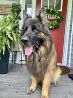 processed/109baeba-7d18-4b04-ac89-084f6afecf20/facility/c5a41b18-2d0b-44d3-810e-4335f626496e