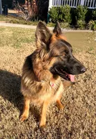 processed/109baeba-7d18-4b04-ac89-084f6afecf20/facility/eafb0048-6930-4d3b-a178-7e607b48f80b