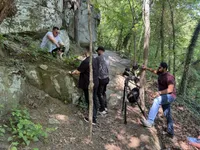 Willow, a female German Shepherd Dog for sale in Suffolk, VA – Photo 4 of 6