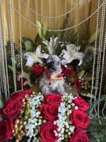 processed/109ffb77-35b3-4636-b27f-51a1041b7486/listing/3b630d9b-73b5-4f5b-b35a-9e14b66a6f87/1595fa1b-cd9d-4b6c-8f77-238f2cee1e41