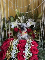 processed/109ffb77-35b3-4636-b27f-51a1041b7486/listing/3b630d9b-73b5-4f5b-b35a-9e14b66a6f87/1bf74254-4e01-4d2b-b615-7cfa8f1376a3