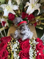 processed/109ffb77-35b3-4636-b27f-51a1041b7486/listing/3b630d9b-73b5-4f5b-b35a-9e14b66a6f87/2624a5b4-cba3-44bc-a653-5ce64f3c2681