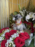 processed/109ffb77-35b3-4636-b27f-51a1041b7486/listing/3b630d9b-73b5-4f5b-b35a-9e14b66a6f87/9bbbdb01-d05d-4d61-b192-9381c19a645e