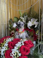 processed/109ffb77-35b3-4636-b27f-51a1041b7486/listing/3b630d9b-73b5-4f5b-b35a-9e14b66a6f87/b7ff6c42-4069-482f-aeda-05b3a1bc60e6