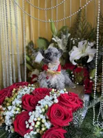 processed/109ffb77-35b3-4636-b27f-51a1041b7486/listing/3b630d9b-73b5-4f5b-b35a-9e14b66a6f87/fcf9e6fd-3ed9-4d1a-a729-cd18702907fe