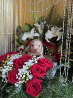 processed/109ffb77-35b3-4636-b27f-51a1041b7486/listing/a8372a71-9110-441c-96fa-d15e44cb3ac0/3fcaa793-9609-42cf-b43b-2539bac9dede