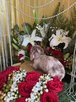 processed/109ffb77-35b3-4636-b27f-51a1041b7486/listing/a8372a71-9110-441c-96fa-d15e44cb3ac0/aae931c8-aa6c-44b0-a4ba-13a39b96e415