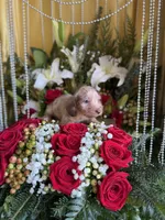 processed/109ffb77-35b3-4636-b27f-51a1041b7486/listing/a8372a71-9110-441c-96fa-d15e44cb3ac0/d6e9f8df-6f34-4f61-ad3e-ae878e1a25a2