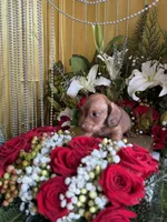 processed/109ffb77-35b3-4636-b27f-51a1041b7486/listing/e49c7f1d-159d-4e8a-ae82-2edb26052975/0365dc83-2569-4adf-8847-01d2737f0faa