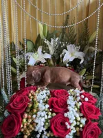 processed/109ffb77-35b3-4636-b27f-51a1041b7486/listing/e49c7f1d-159d-4e8a-ae82-2edb26052975/8af4bb3a-04b1-4bf6-a374-9b262b725c44