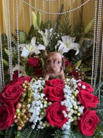 processed/109ffb77-35b3-4636-b27f-51a1041b7486/listing/e49c7f1d-159d-4e8a-ae82-2edb26052975/e4a31bd8-f7d5-4cc7-af1b-8bdb7c7b55bf