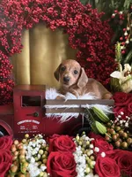 processed/109ffb77-35b3-4636-b27f-51a1041b7486/listing/f3ea0eaa-3ba1-40e8-bbbd-3bd02b297fd2/6f08345a-be31-487e-9d8c-eeb3c185557c