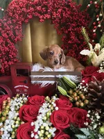 processed/109ffb77-35b3-4636-b27f-51a1041b7486/listing/f3ea0eaa-3ba1-40e8-bbbd-3bd02b297fd2/8aa3545f-a286-4900-b357-ce1632b73394