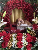 processed/109ffb77-35b3-4636-b27f-51a1041b7486/listing/f3ea0eaa-3ba1-40e8-bbbd-3bd02b297fd2/8dbf76a6-79b9-43e1-ba6f-7519b8abd7e6