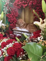 processed/109ffb77-35b3-4636-b27f-51a1041b7486/listing/f3ea0eaa-3ba1-40e8-bbbd-3bd02b297fd2/93a0546d-7aba-41b3-8782-b21c873bfb31