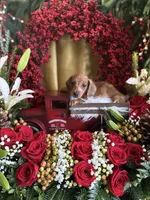 processed/109ffb77-35b3-4636-b27f-51a1041b7486/listing/f3ea0eaa-3ba1-40e8-bbbd-3bd02b297fd2/e562839c-debd-4511-b757-40f0b3db5d95