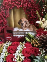 processed/109ffb77-35b3-4636-b27f-51a1041b7486/listing/f3ea0eaa-3ba1-40e8-bbbd-3bd02b297fd2/e8731561-c0f4-4450-958c-f136e957e66f