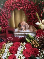 processed/109ffb77-35b3-4636-b27f-51a1041b7486/listing/f3ea0eaa-3ba1-40e8-bbbd-3bd02b297fd2/ed7ae7b3-764a-4c4a-aed1-e07ade605d48