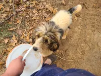 processed/10a07667-9f81-46c0-8327-8396e6093685/listing/8a80dc34-6abe-480f-9f79-8d1eb36d6d2c/01e9b64f-bc10-4881-81f2-1fa269802fa8