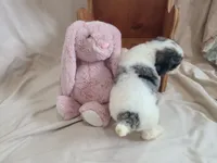 processed/10a07667-9f81-46c0-8327-8396e6093685/listing/8a80dc34-6abe-480f-9f79-8d1eb36d6d2c/3cb3c0c5-cfd5-486d-ba26-c1d5a055bd5d